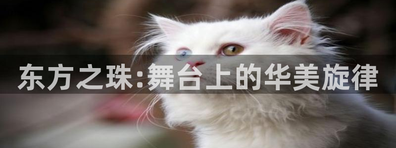 保利国际影城票价：东方之珠:舞台上的华美旋律