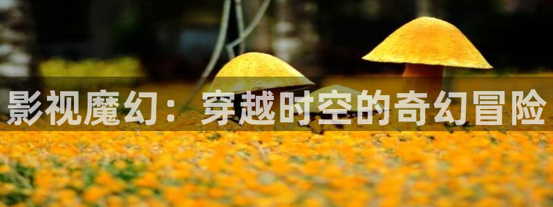 龙旗广场保利影院今日影讯