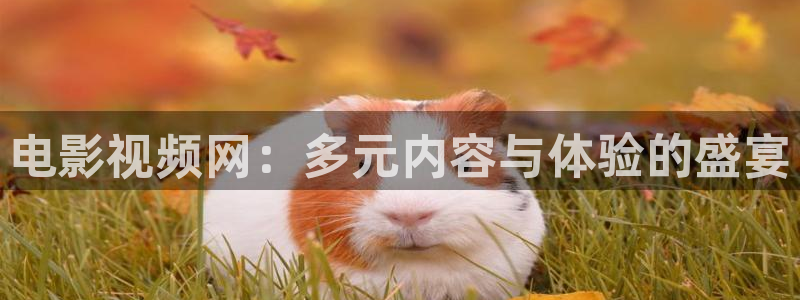 奉节保利万和影院今日影片：电影视频网：多元内容与体验的盛宴